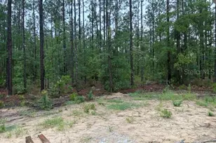 13510 SW 64th Street Rd, Ocala, FL 34481 - Photo 8