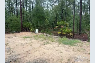13510 SW 64th Street Road, Ocala, FL 34481 - Photo 10