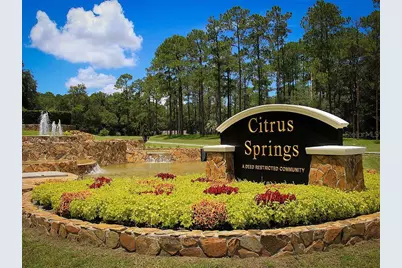 8441 N Inca Way, Dunnellon, FL 34434 - Photo 6