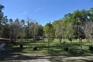 6482 SE 55th St, Trenton, FL 32693 - Photo 14