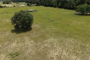 6482 SE 55th St, Trenton, FL 32693 - Photo 8