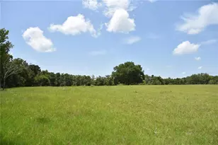6482 SE 55th St, Trenton, FL 32693 - Photo 58
