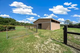 3551 NE 120th St, Anthony, FL 32617 - Photo 30