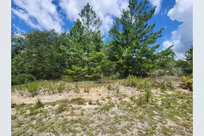 00 SW Gardenia Court, Dunnellon, FL 34432 - Photo 2