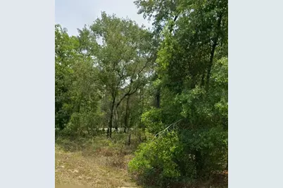 00 NW Highview Avenue, Dunnellon, FL 34431 - Photo 2