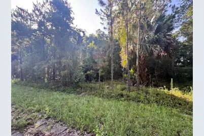Tbd Sequoia Loop Drive, Ocklawaha, FL 32179 - Photo 2