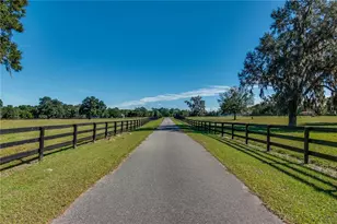7787 NW 150th Ave, Morriston, FL 32668 - Photo 26