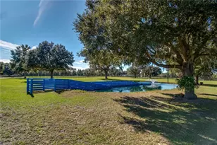 7787 NW 150th Ave, Morriston, FL 32668 - Photo 16