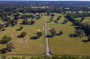 7787 NW 150th Ave, Morriston, FL 32668 - Photo 34
