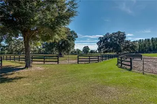 7787 NW 150th Ave, Morriston, FL 32668 - Photo 24