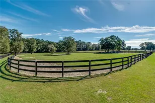 7787 NW 150th Ave, Morriston, FL 32668 - Photo 14