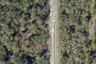 Tbd Malauka Pass, Ocklawaha, FL 32179 - Photo 1