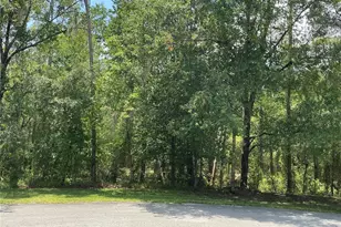 SW 90th Pl, Dunnellon, FL 34431 - Photo 1
