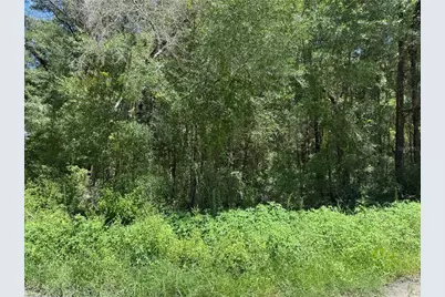 Sw 139th Ct, Dunnellon, FL 34432 - Photo 4
