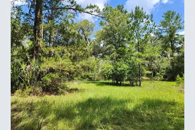 13501 NE 245th Street Road, Fort Mc Coy, FL 32134 - Photo 48