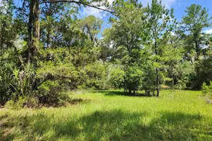 13501 NE 245th Street Rd, Fort Mc Coy, FL 32134 - Photo 48