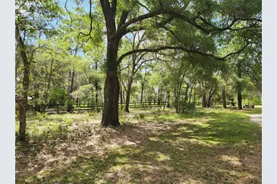 13501 NE 245th Street Road, Fort Mc Coy, FL 32134 - Photo 46