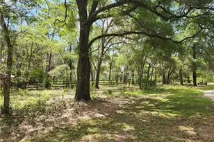 13501 NE 245th Street Rd, Fort Mc Coy, FL 32134 - Photo 46