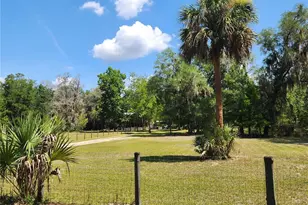 13501 NE 245th Street Rd, Fort Mc Coy, FL 32134 - Photo 44