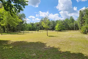 13501 NE 245th Street Rd, Fort Mc Coy, FL 32134 - Photo 38