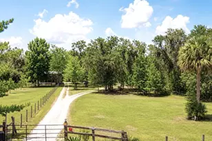 13501 NE 245th Street Rd, Fort Mc Coy, FL 32134 - Photo 42