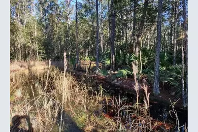154 James Place, Palatka, FL 32177 - Photo 4