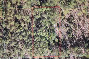 0 SW 75 St, Dunnellon, FL 34432 - Photo 1