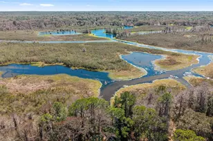 22817 SW 117 St, Dunnellon, FL 34431 - Photo 4