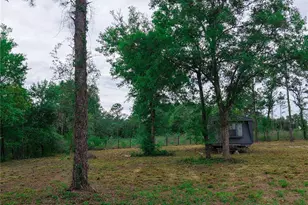 1390 NE 130th Ave, Williston, FL 32696 - Photo 20