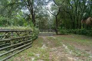 1338 E Belmont Pl, Hernando, FL 34442 - Photo 1