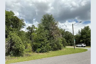 Marion Oaks Drive, Ocala, FL 34473 - Photo 4