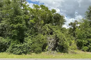 Marion Oaks Dr, Ocala, FL 34473 - Photo 1