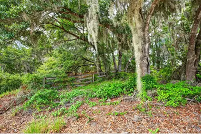 Malauka Loop, Ocklawaha, FL 32179 - Photo 2