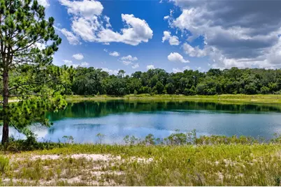 Malauka Loop, Ocklawaha, FL 32179 - Photo 24