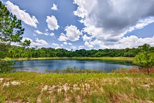 Malauka Loop, Ocklawaha, FL 32179 - Photo 1