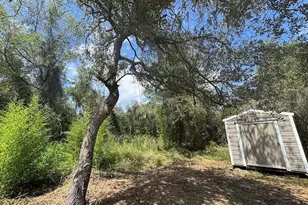 15299 NE 238th St, Fort Mc Coy, FL 32134 - Photo 14