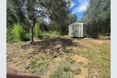 15299 NE 238th Street, Fort Mc Coy, FL 32134 - Photo 12