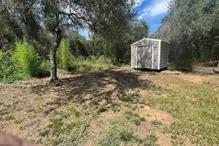 15299 NE 238th St, Fort Mc Coy, FL 32134 - Photo 12