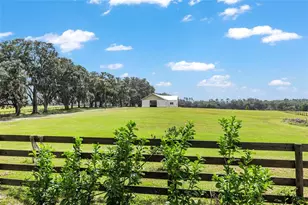8544 NW 160th Ave, Morriston, FL 32668 - Photo 4