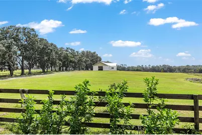 8544 NW 160th Avenue, Morriston, FL 32668 - Photo 8