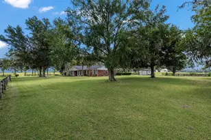8544 NW 160th Ave, Morriston, FL 32668 - Photo 6