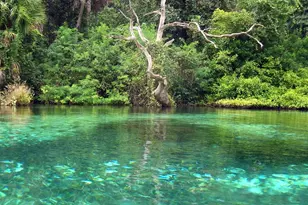 19331 SW 100th Loop, Dunnellon, FL 34432 - Photo 82