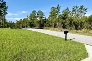 3039 SW Viburnum Rd, Dunnellon, FL 34431 - Photo 16