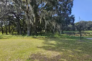 3014 Canopy Oak Blvd, Wildwood, FL 34785 - Photo 10