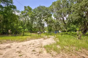 9955 SE 160th Ave, Ocklawaha, FL 32179 - Photo 2
