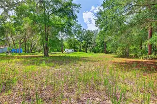 9955 SE 160th Ave, Ocklawaha, FL 32179 - Photo 12