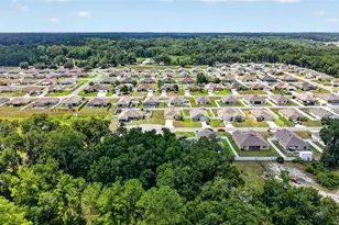 3886 SE 97th Ln, Belleview, FL 34420 - Photo 48