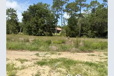 7722 SW 180th Circle, Dunnellon, FL 34432 - Photo 6
