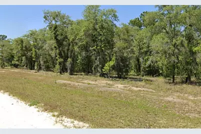 Lot 17 SE 16 Lane, Morriston, FL 32668 - Photo 4