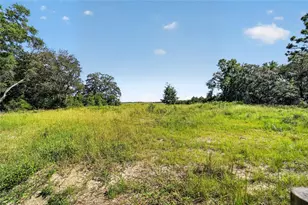 22081 SW Pine Bluffs Rd, Dunnellon, FL 34431 - Photo 52